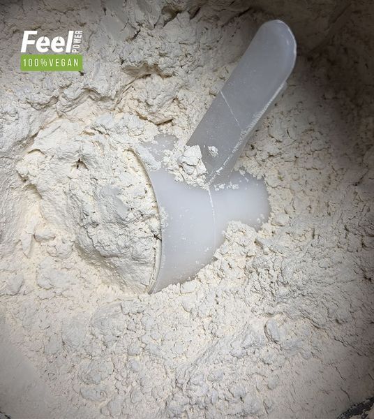 Веганский растительный протеин &laquo;Рисовий протеин&raquo; - Vegan plant protein &laquo;Concentrate rice protein&raquo; (Без вкуса) 900 г Киев