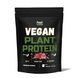 Купить Веганский растительный протеин «Смесь» - Vegan plant protein « ВІеnԁ» (Клубничный милк-шейк) 450 г фото 1 в Киеве