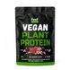 Купити Веганський рослинний протеїн &laquo;Суміш&raquo; - Vegan plant protein &ldquo;Вlend&rdquo; (Полуничний мілкшейк) 450 г фото 1 в Києві