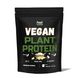 Купить Веганский растительный протеин «Смесь» - Vegan plant protein « ВІеnԁ» (Нежная ваниль) 450г фото 1 в Киеве