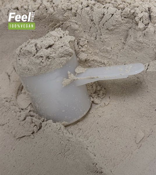 Vegan Plant Protein ''Blend'' Feel Power 100% Vegan - ''Протеїнова cуміш" (Лісовий горіх у шоколаді) 900 г Київ