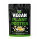 Купити Веганський рослинний протеїн &laquo;Суміш&raquo; - Vegan plant protein &ldquo;Вlend&rdquo; (Лимонний чізкейк) 450г фото 1 в Києві