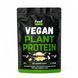 Купить Веганский растительный протеин &laquo;Изолят соевого белка&raquo; - Vegan plant protein &laquo;Іsolate soy protein&raquo; (Нежная ваниль) 450 г фото 1 в Киеве